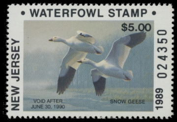 Picture of 1989 New Jersey Duck Stamp
