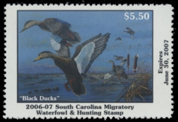 Picture of 2006 South Carolina Duck Stamp