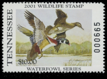 Picture of 2001 Tennessee Duck Stamp