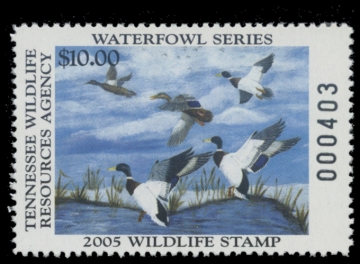 Picture of 2005 Tennessee Duck Stamp