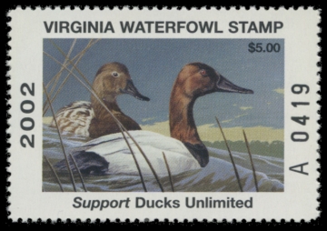 Picture of 2002 Virginia Duck Stamp