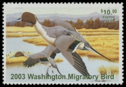 Picture of 2003 Washington Duck Stamp