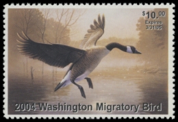 Picture of 2004 Washington Duck Stamp