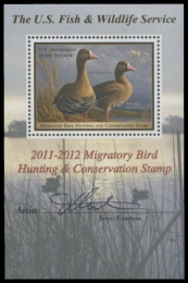 Picture of RW78B 2011 Duck Stamp