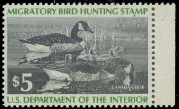 Picture of RW43 1976 Duck Stamp 