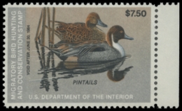 Picture of RW50 1983 Duck Stamp 