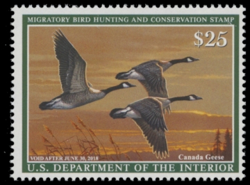 Picture of RW84 2017 Duck Stamp 