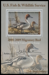 Picture of RW75B 2008 Duck Stamp