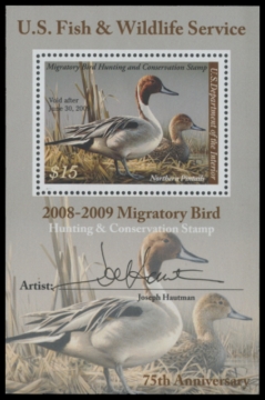 Picture of RW75B 2008 Duck Stamp