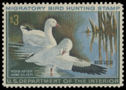 Picture of RW37 1970 Duck Stamp 