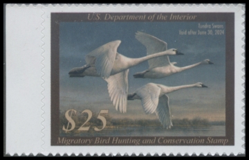 Picture of RW90 2023 Duck Stamp 
