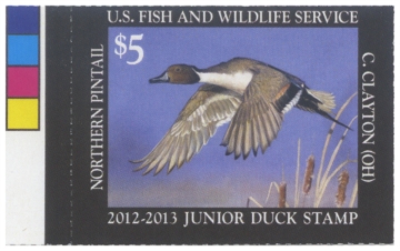 Picture of JDS20 2012 Duck Stamp  MNH VF