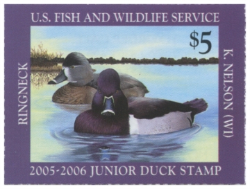 Picture of JDS13 2005 Duck Stamp
