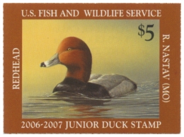 Picture of JDS14 2006 Duck Stamp 