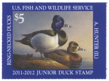 Picture of JDS19 2011 Duck Stamp 
