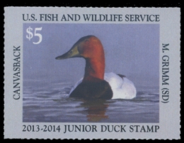 Picture of JDS21 2013 Duck Stamp 