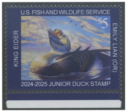 Picture of JDS31 2023 Duck Stamp 