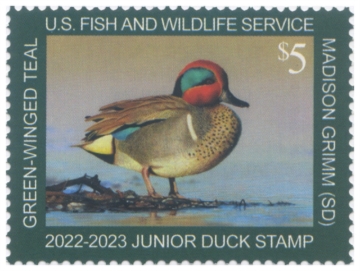 Picture of JDS30 0 Duck Stamp 