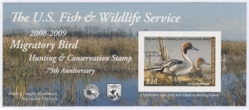 Picture of RW75A 2008 Duck Stamp 