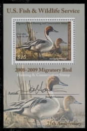 Picture of RW75B 2008 Duck Stamp