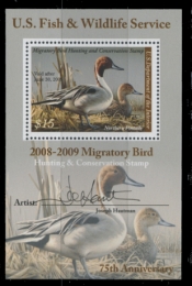 Picture of RW75B 2008 Duck Stamp 