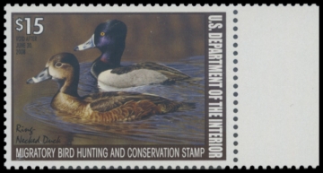 Picture of RW74 2007 Duck Stamp 