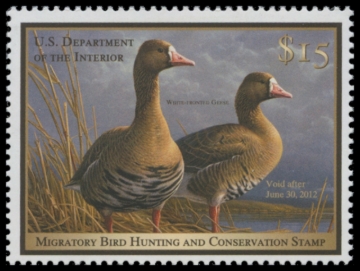 Picture of RW78 2011 Duck Stamp 
