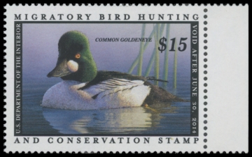 Picture of RW80 2013 Duck Stamp 