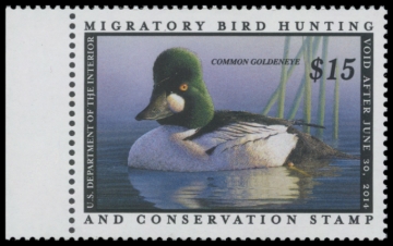 Picture of RW80 2013 Duck Stamp 