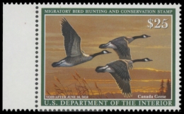 Picture of RW84 2017 Duck Stamp