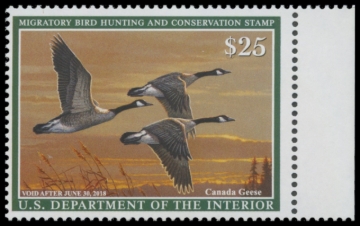 Picture of RW84 2017 Duck Stamp