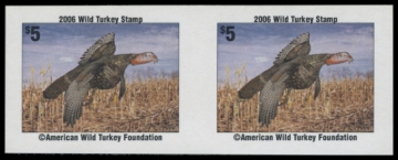 Picture of 2006 American Wild Turkey Foundation Wild Turkey Stamp
