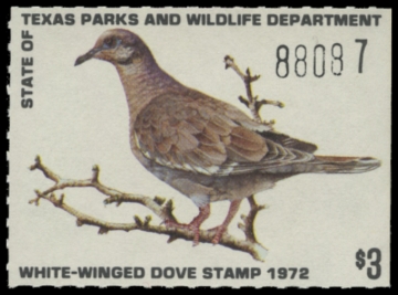 Picture of 1972 Texas White Winged Dove Stamp