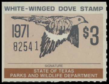 Picture of 1971 Texas White Winged Dove Stamp