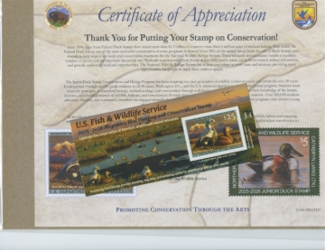 Picture of RW92A 2025 Duck Stamp 