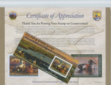 Picture of RW92A 2025 Duck Stamp 