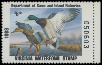 Picture of 1988 Virginia Duck Stamp - First of State