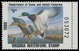 Picture of 1988 Virginia Duck Stamp - First of State