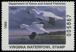 Picture of 1995 Virginia Duck Stamp