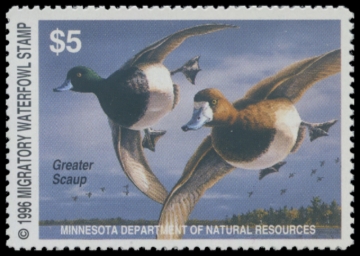 Picture of 1996 Minnesota Duck Stamp