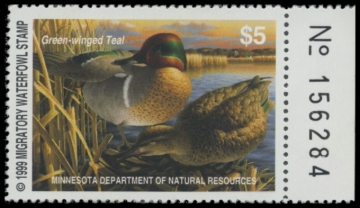Picture of 1999 Minnesota Duck Stamp