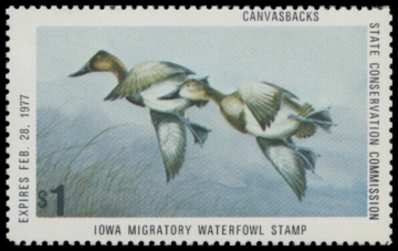 Picture of 1976 Iowa Duck Stamp