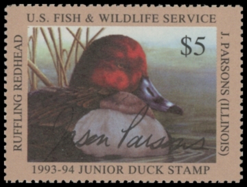 Picture of JDS1 1993 Duck Stamp