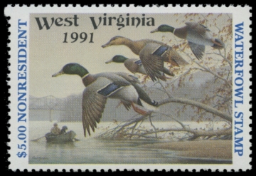 Picture of 1991 West Virginia Duck Stamp