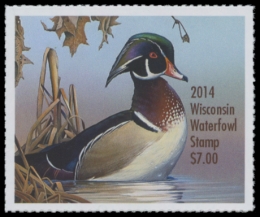 Picture of 2014 Wisconsin Duck Stamp
