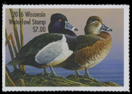 Picture of 2016 Wisconsin Duck Stamp
