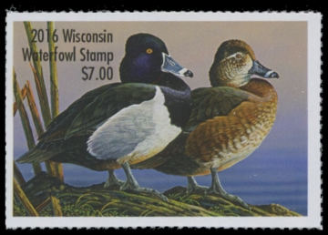 Picture of 2016 Wisconsin Duck Stamp