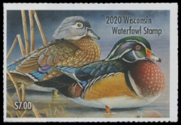 Picture of 2020 Wisconsin Duck Stamp