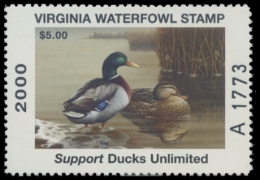 Picture of 2000 Virginia Duck Stamp