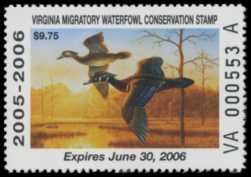 Picture of 2005 Virginia Duck Stamp